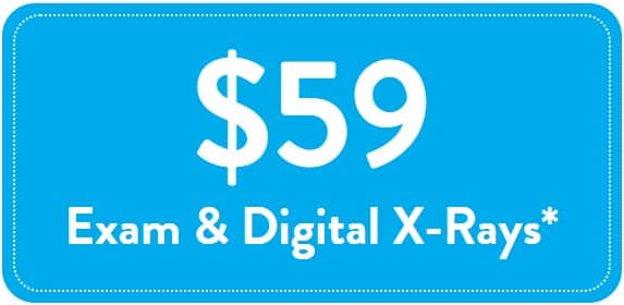 $59 Exam & X-Rays